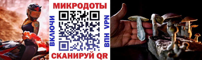 MEGA как зайти  Янаул  Псилоцибиновые грибы Psilocybine cubensis 